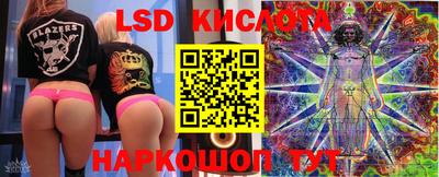 гидра Краснодар
