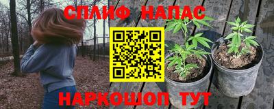 дмт Краснознаменск