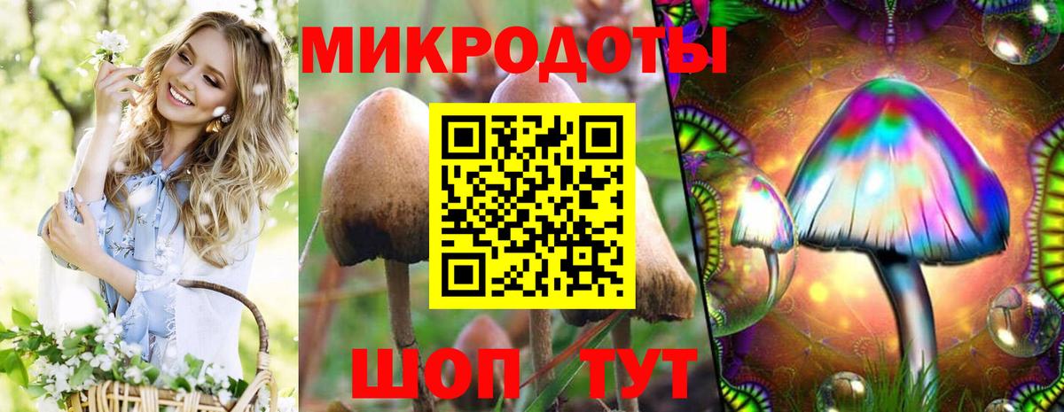 Дедовск  Галлюциногенные грибы прущие грибы  Вход с VPN 